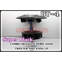 045-04-SUPER BLACK COMBO HEXAGON HORN TWEETER AND 45DG UP